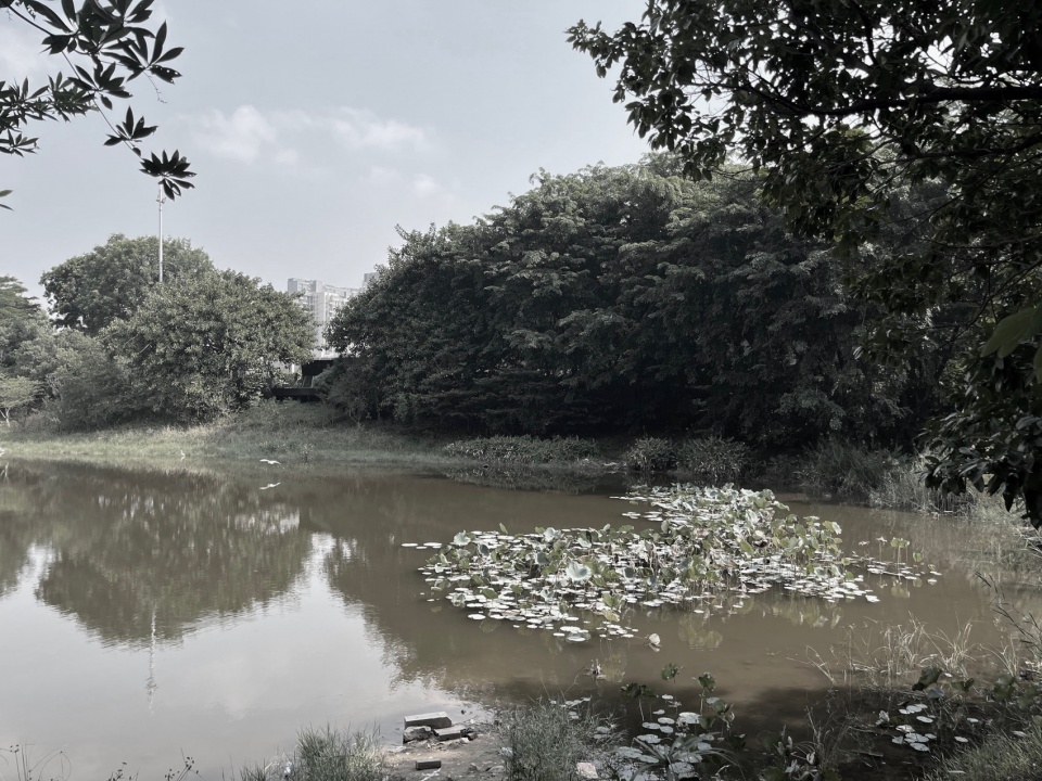 Shenzhen Universiade Horizon