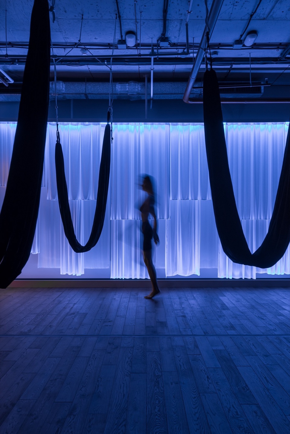 Smartass Gym Soul Smartass design studio