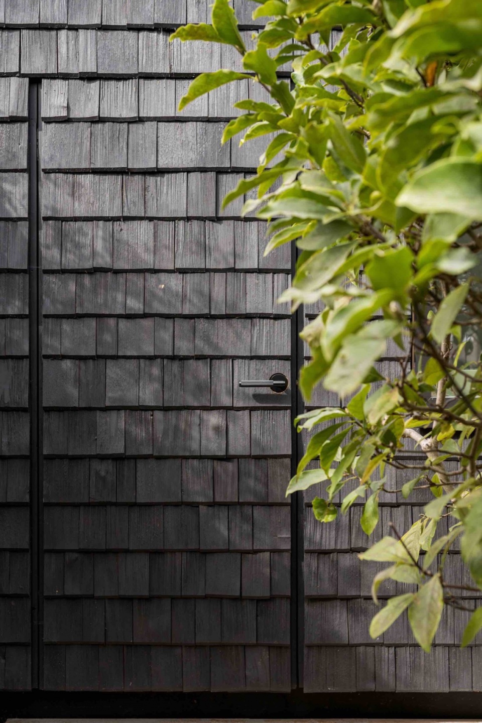 Schindel studio by Archer Braun Architecture