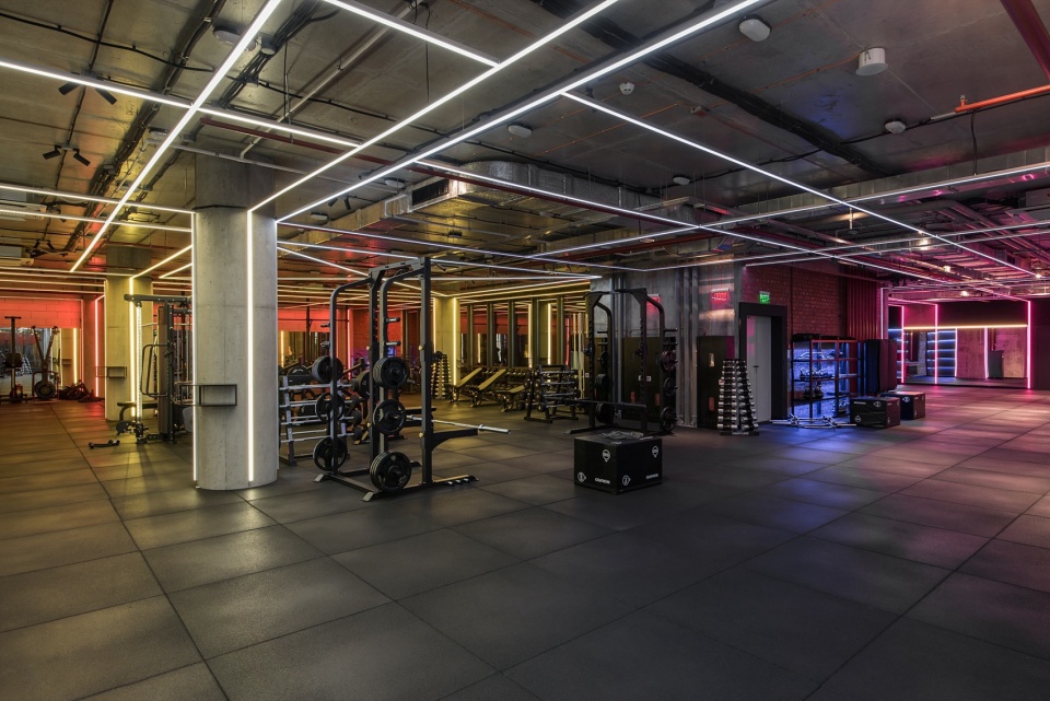 Smartass Gym Soul Smartass design studio
