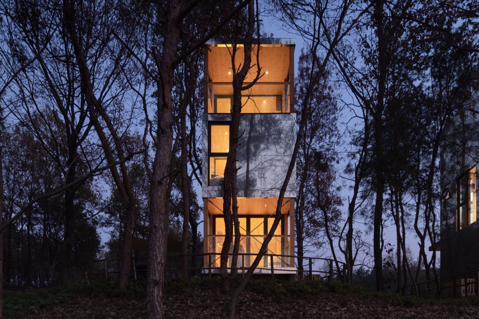 The Giraffe Cabin
