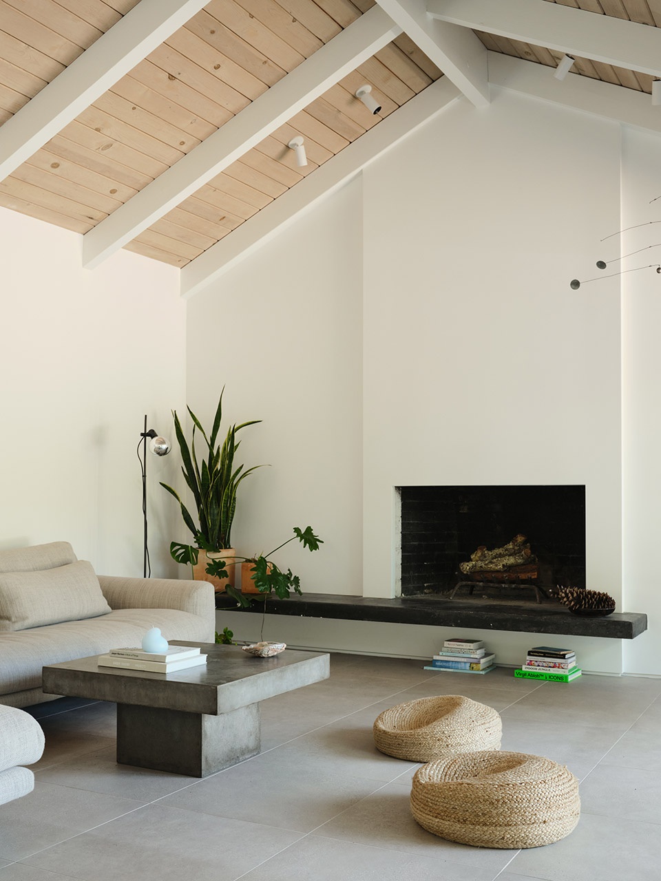 viewridge by feldman architecture