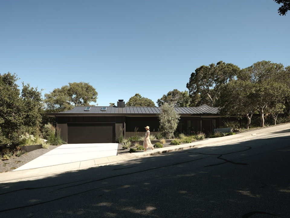 viewridge by feldman architecture