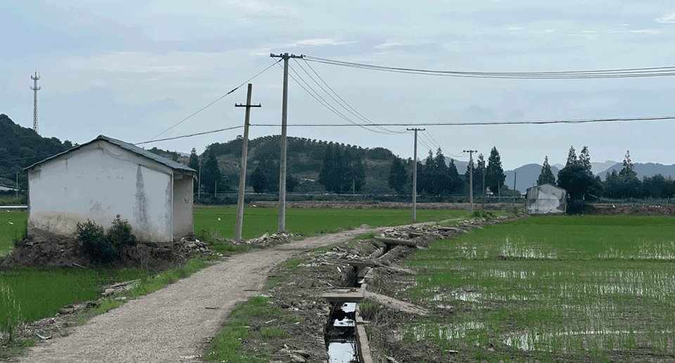 down in the clouds farm field renovation byppractice on earth increments studio