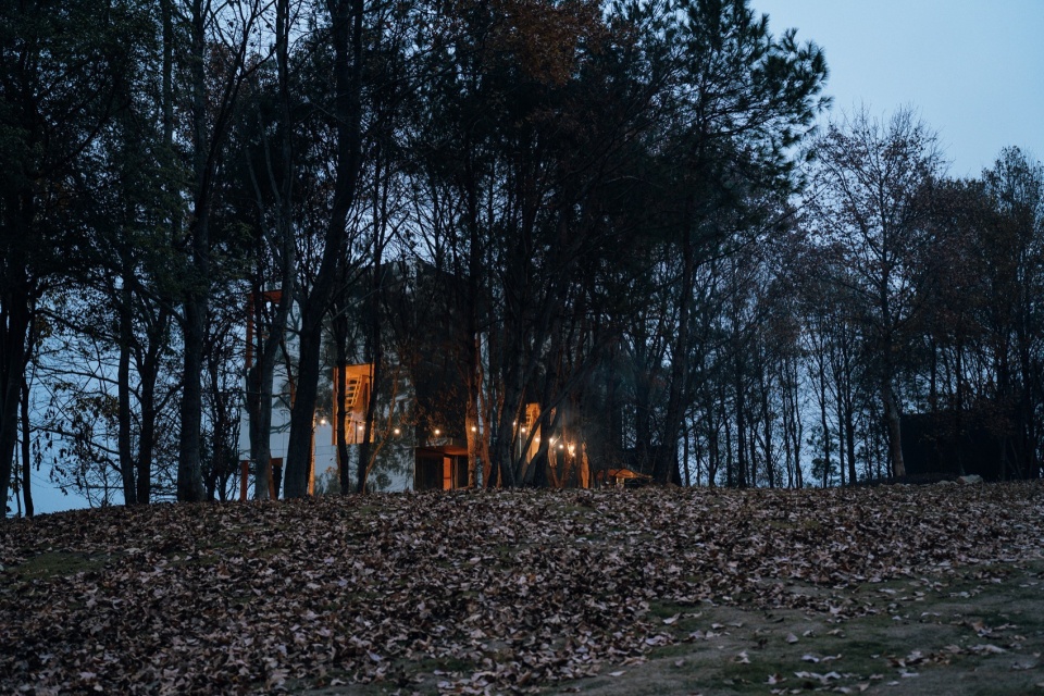 The Giraffe Cabin