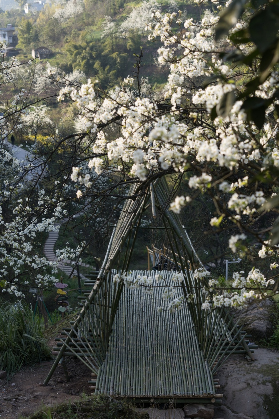 梨花包围的瓣亭 ©形在空间 Petal Pavilion