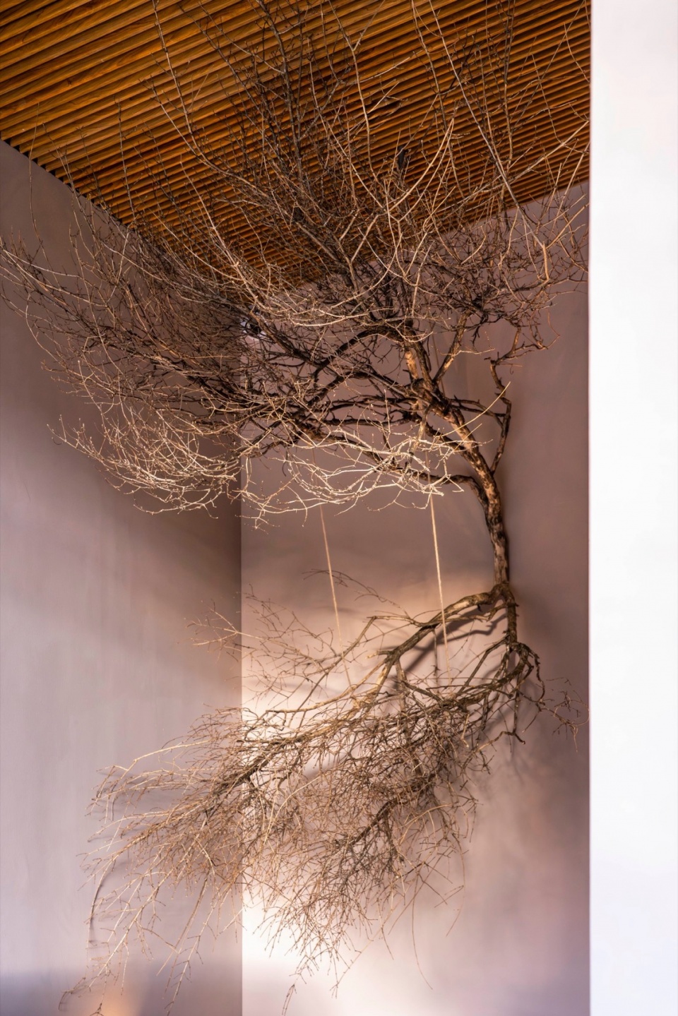 CASA NGULUKO Lijiang by Li Xiaodong Atelier