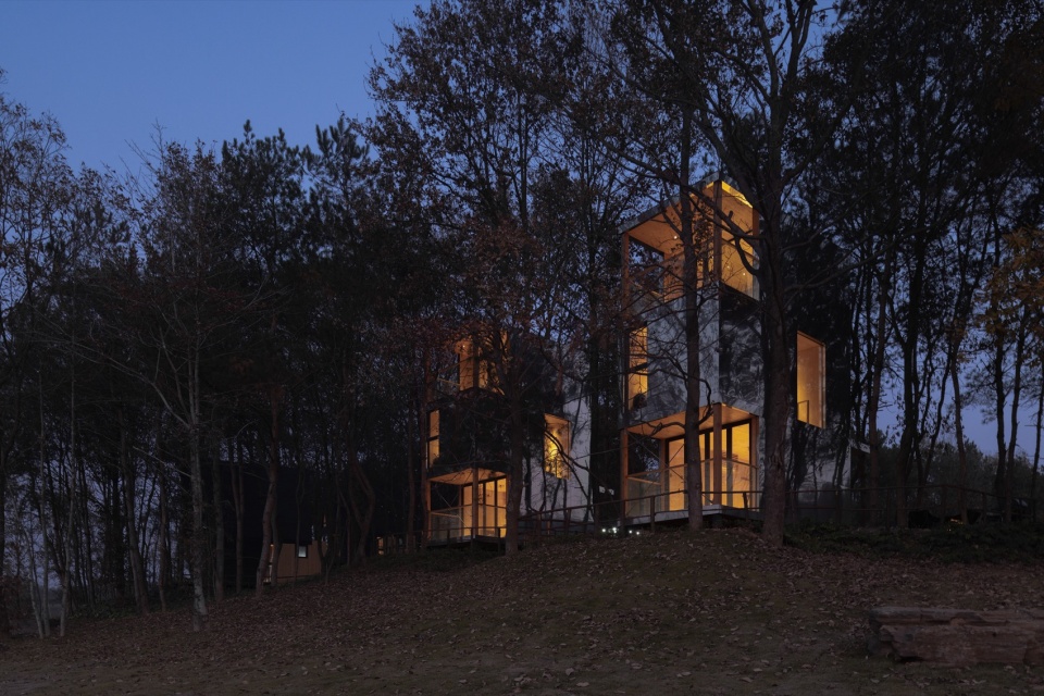 The Giraffe Cabin