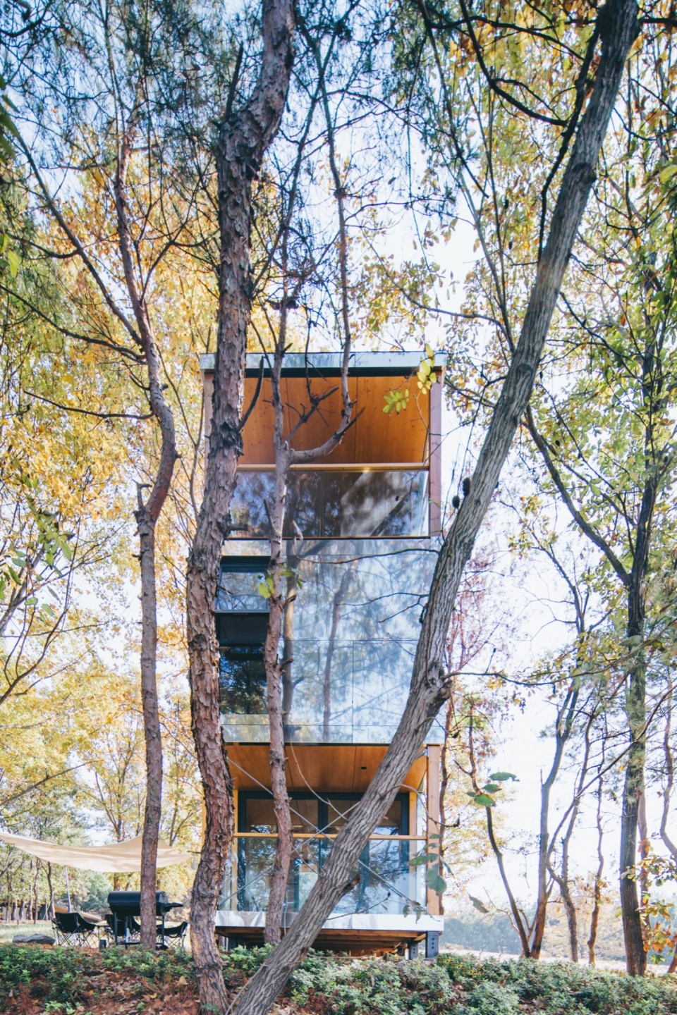 The Giraffe Cabin