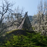 田野计划·瓣亭：不在山林，在梨花村，泸州 / 小隐建筑