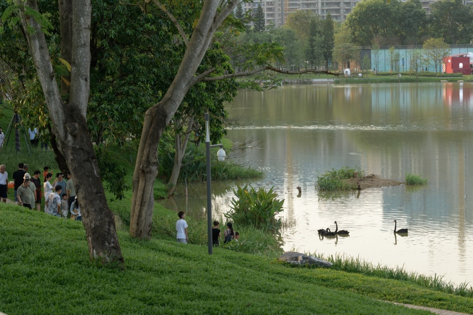 Shenzhen Universiade Horizon