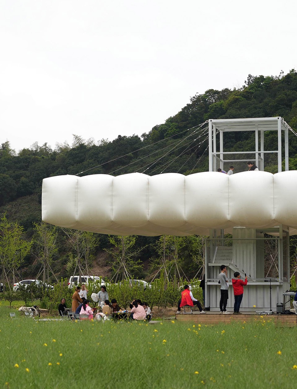 down in the clouds farm field renovation byppractice on earth increments studio