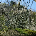 田野计划·瓣亭：不在山林，在梨花村，泸州 / 小隐建筑