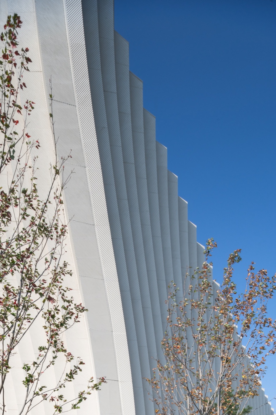 Sunner Museum by Atelier Alter Architects