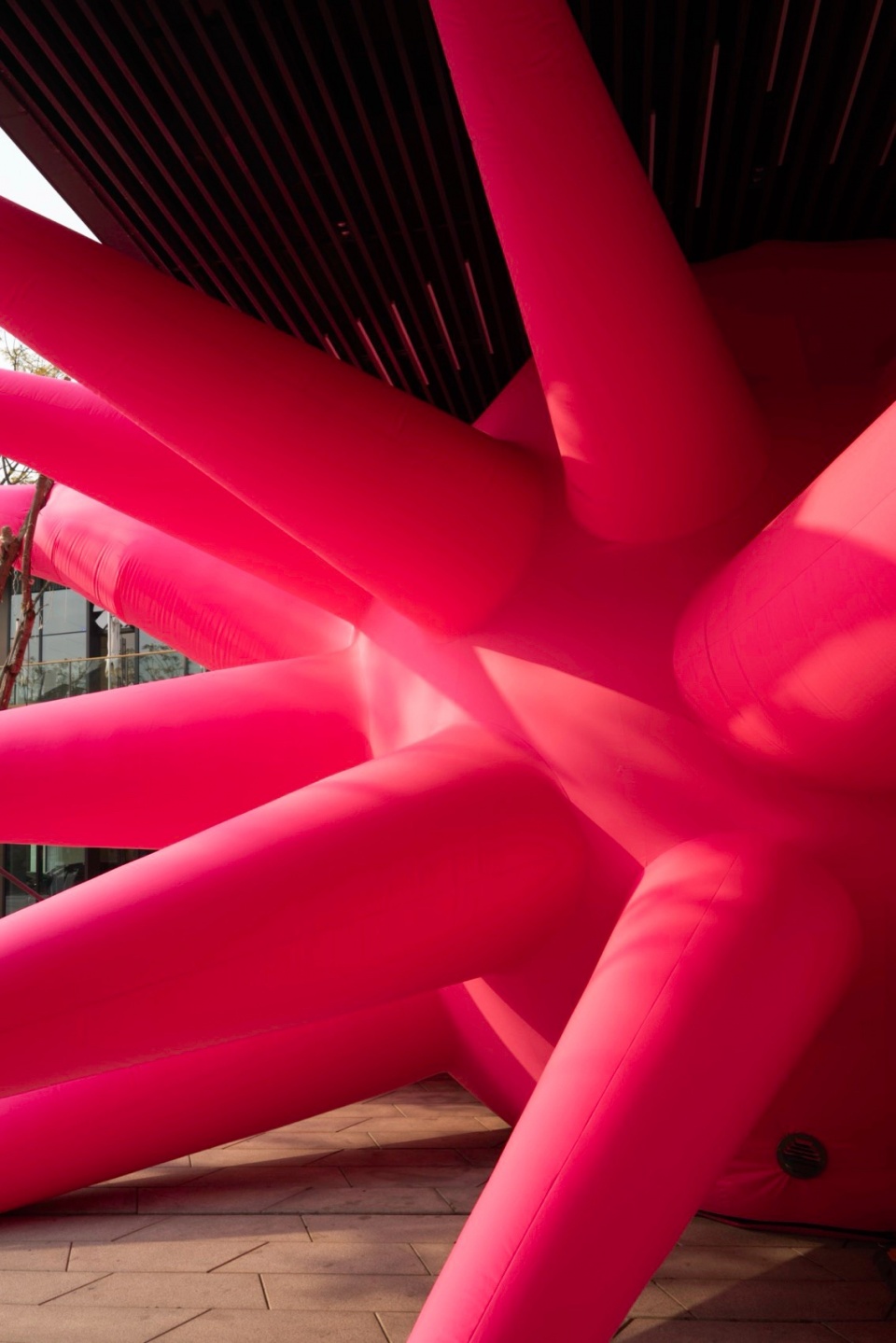 Below Chengdu Steve Messam