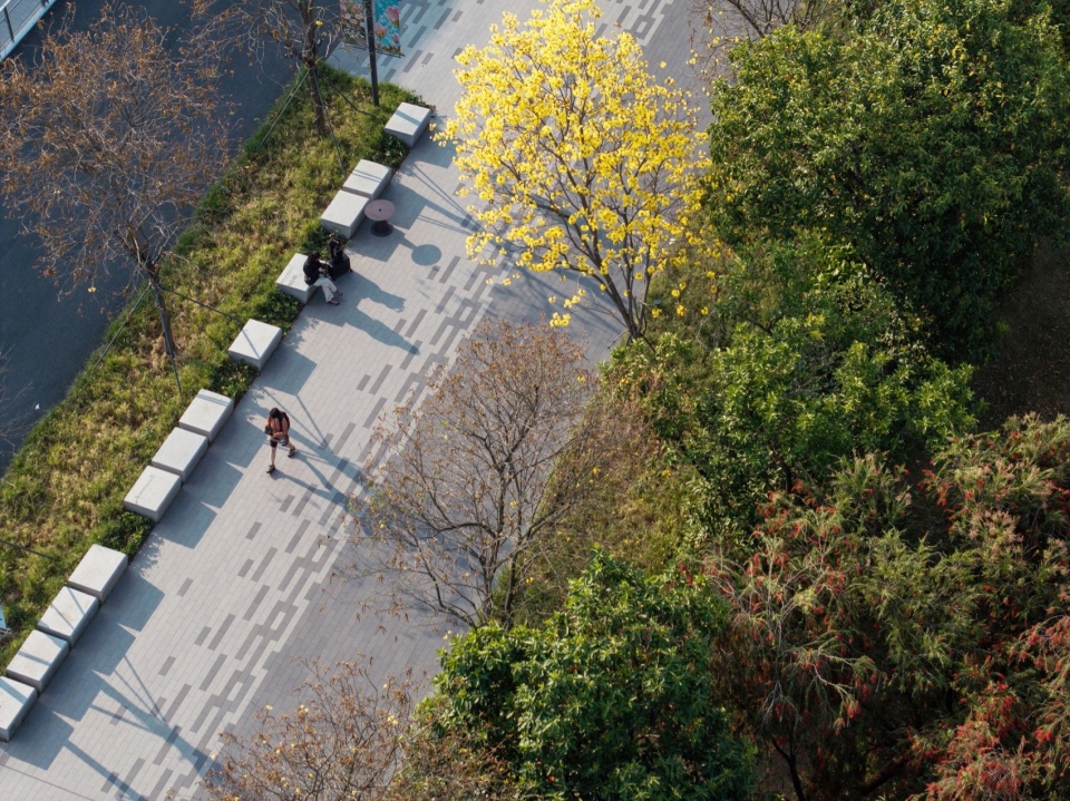 Shenzhen Universiade Horizon