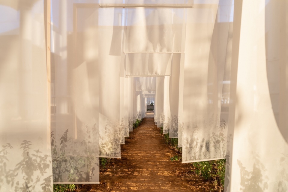 THE 2025 ISLAMIC ARTS BIENNALE AND ALL THAT IS IN BETWEEN OPENS IN JEDDAH