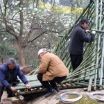 田野计划·瓣亭：不在山林，在梨花村，泸州 / 小隐建筑