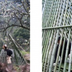 田野计划·瓣亭：不在山林，在梨花村，泸州 / 小隐建筑