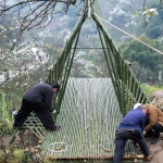 田野计划·瓣亭：不在山林，在梨花村，泸州 / 小隐建筑