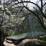 田野计划·瓣亭：不在山林，在梨花村，泸州 / 小隐建筑