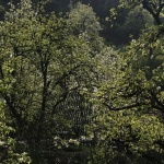 田野计划·瓣亭：不在山林，在梨花村，泸州 / 小隐建筑