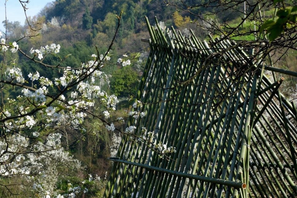 参差不齐的手工效果 ©小隐建筑 Petal Pavilion