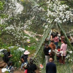 田野计划·瓣亭：不在山林，在梨花村，泸州 / 小隐建筑