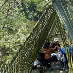 田野计划·瓣亭：不在山林，在梨花村，泸州 / 小隐建筑