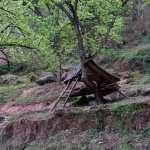 田野计划·瓣亭：不在山林，在梨花村，泸州 / 小隐建筑