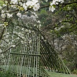 田野计划·瓣亭：不在山林，在梨花村，泸州 / 小隐建筑