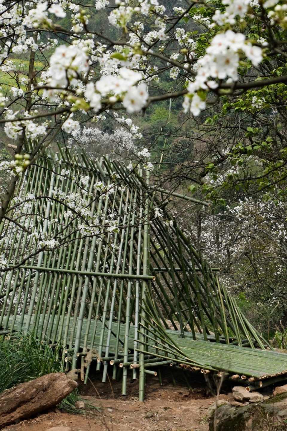 花丛中的瓣亭 ©小隐建筑 Petal Pavilion