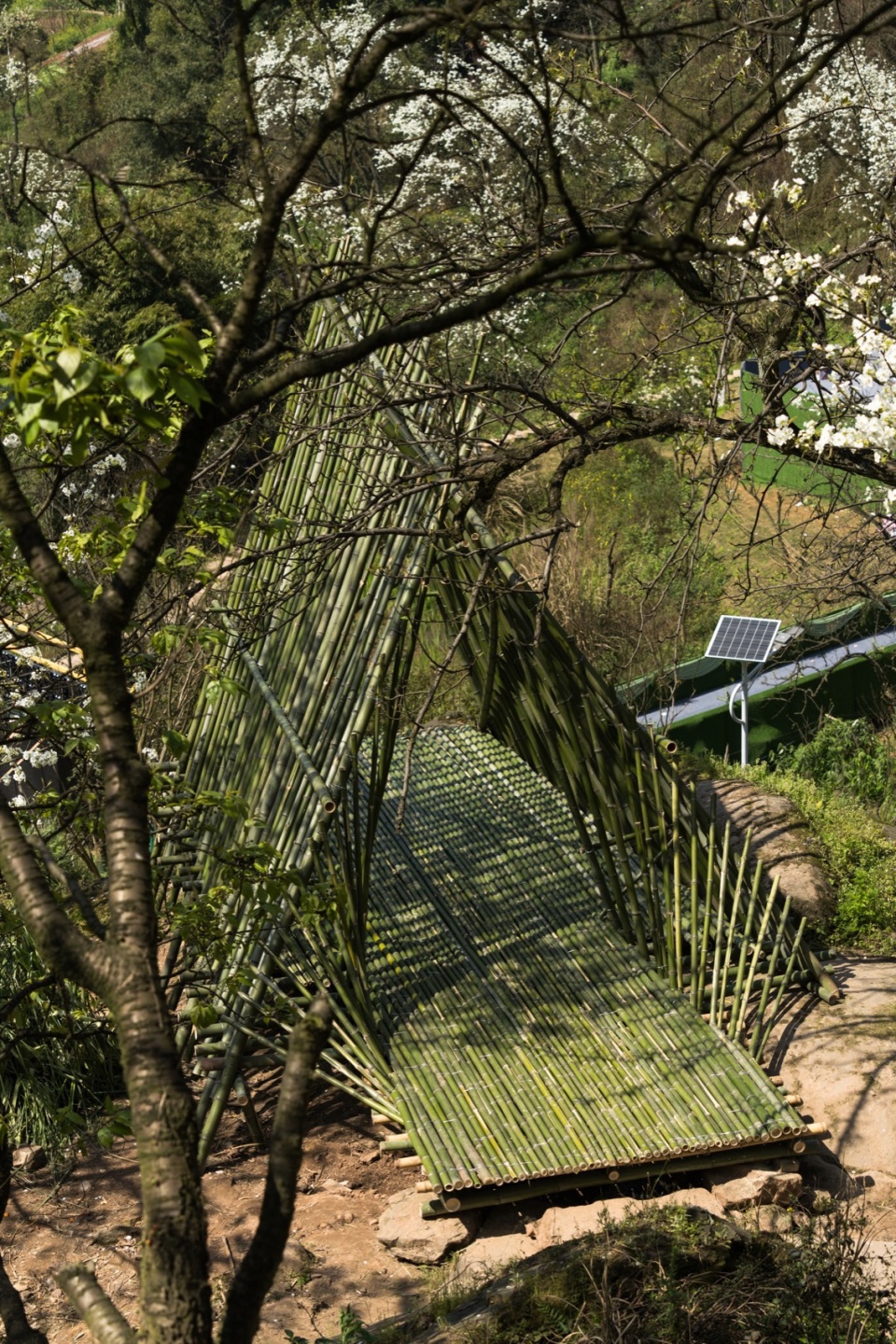 树影中的瓣亭 ©形在空间 Petal Pavilion