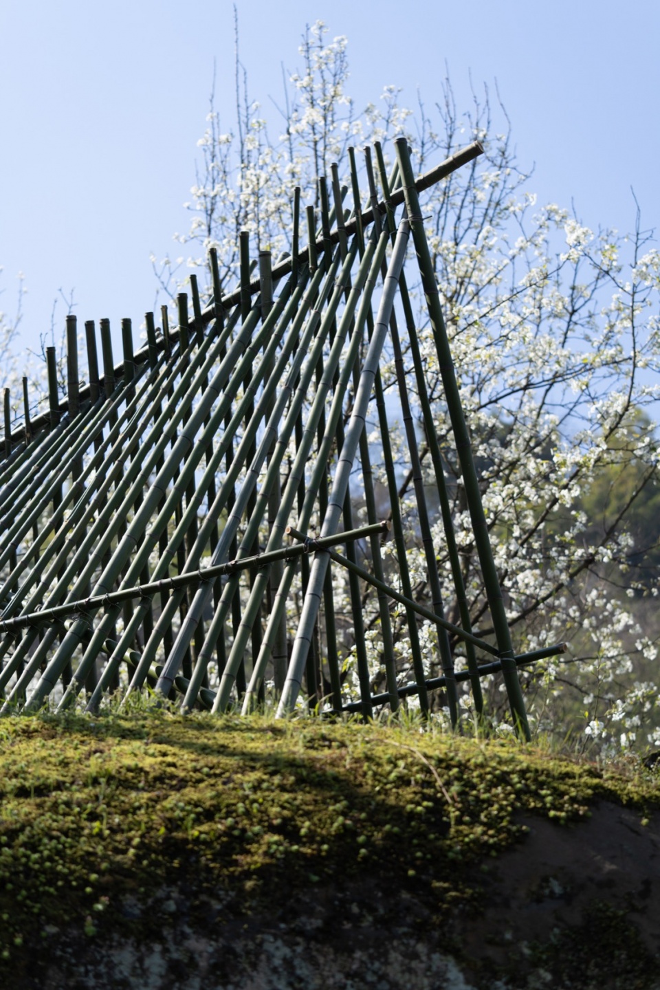 巨石上的小庙 ©形在空间 Petal Pavilion