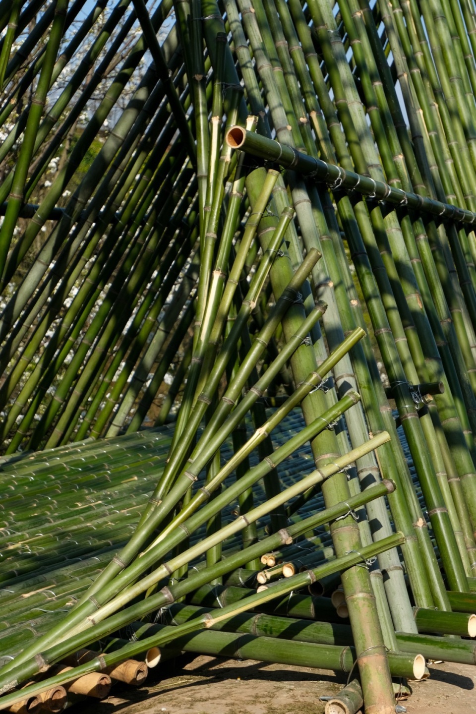 花瓣入口的细节 ©小隐建筑 Petal Pavilion
