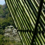 田野计划·瓣亭：不在山林，在梨花村，泸州 / 小隐建筑