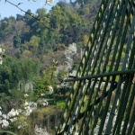 田野计划·瓣亭：不在山林，在梨花村，泸州 / 小隐建筑