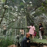 田野计划·瓣亭：不在山林，在梨花村，泸州 / 小隐建筑