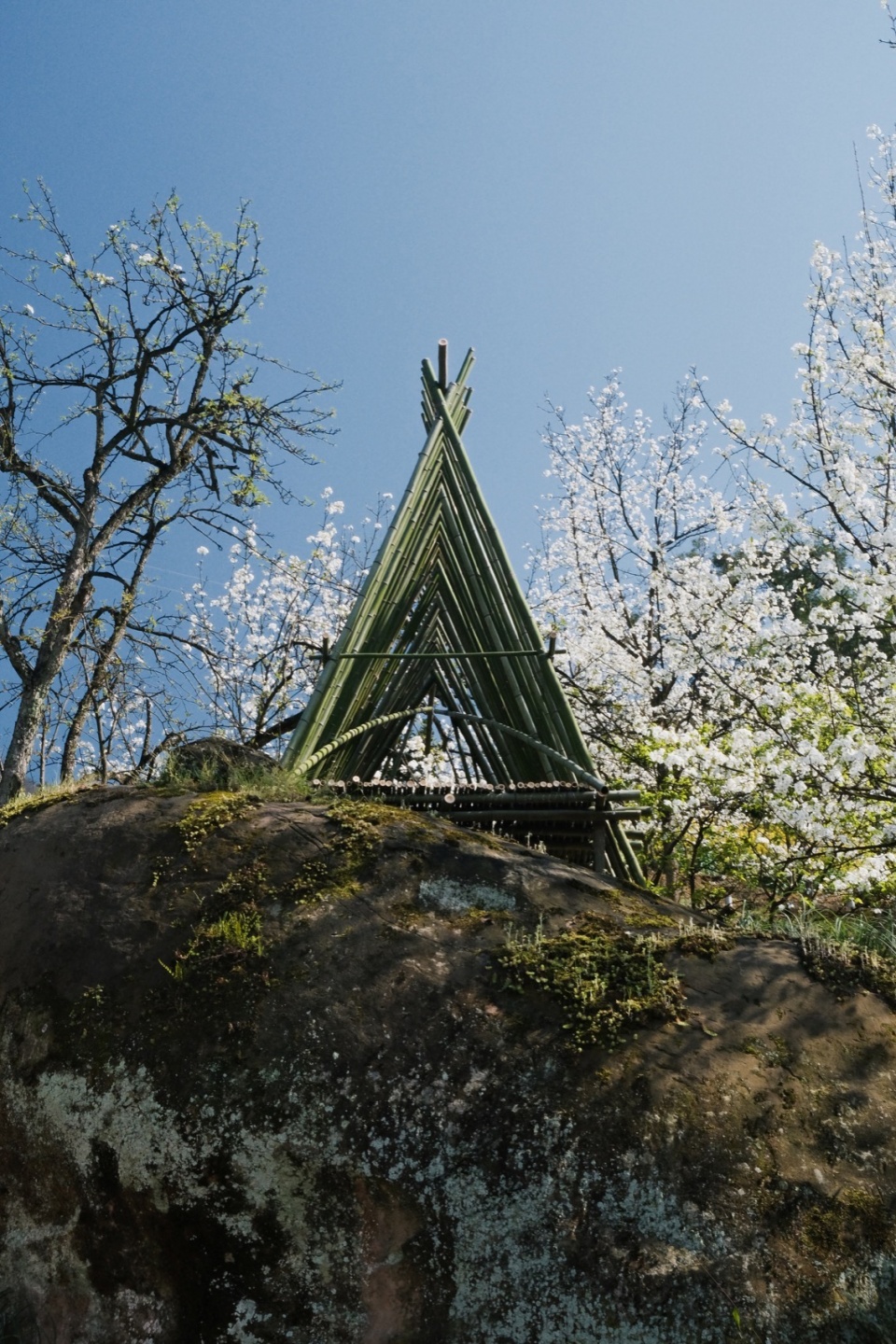 阳光、鲜花、希望 ©小隐建筑