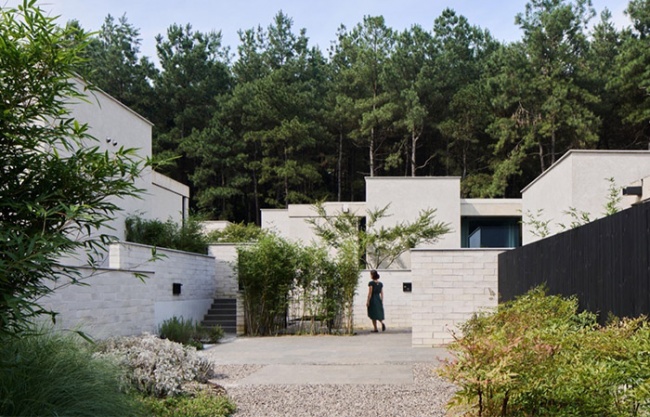 Anadu Pine Villa by STUDIO8 Architects