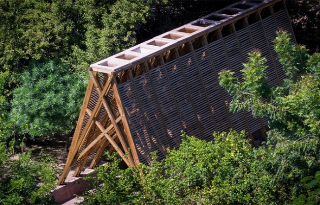 Orchid Pavilion for Casa Wabi by CCA｜Bernardo Quinzaños