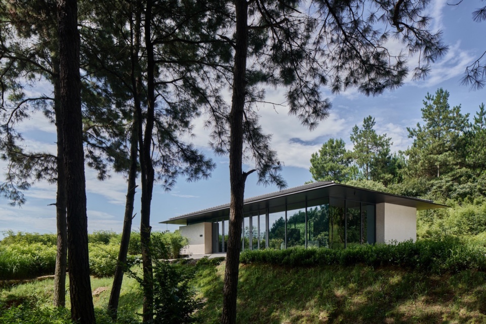 Anadu Pine Villa by STUDIO8 Architects