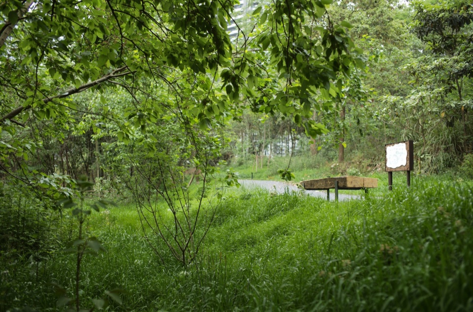 Green Field Park by Sichuan Ledao Landscape Design Co Ltd