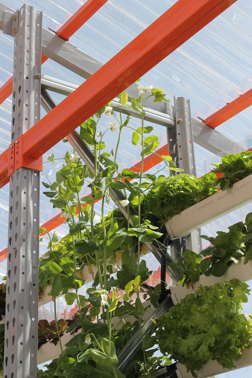 A low tec Hydroponics Module by Alsar Atelier g9o