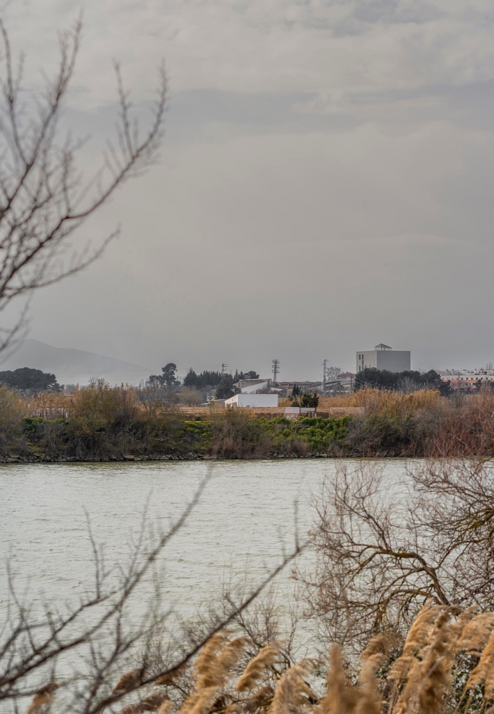 AZUCARERA HOUSING by FRPO Rodriguez Oriol
