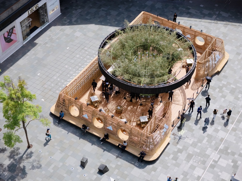 climacool teahouse by lineplus