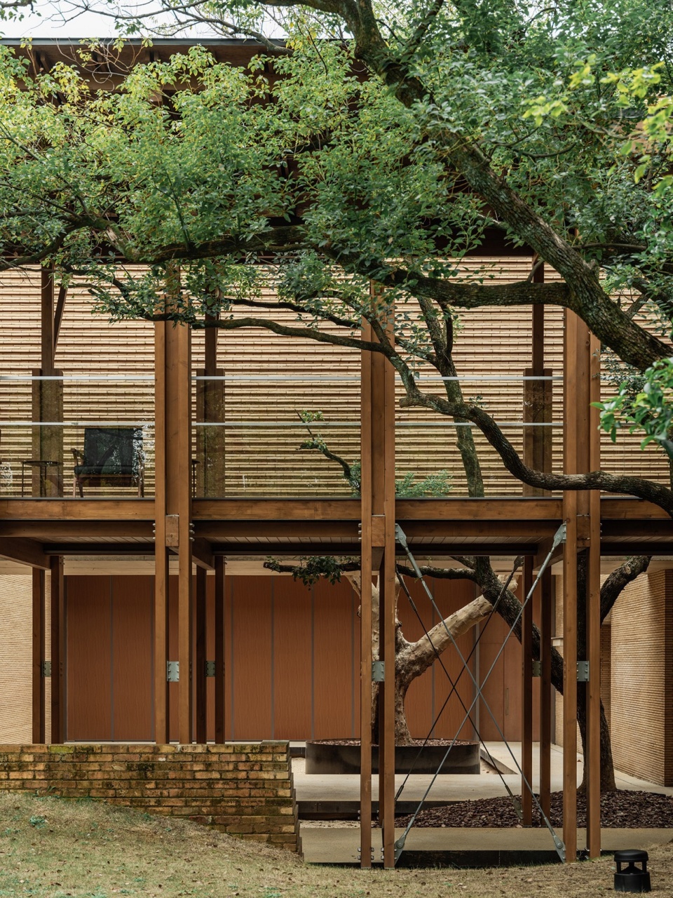 Revival of Ordinary Trees
