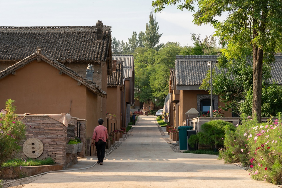 regeneration of tianjiazhuang by tjad normal design