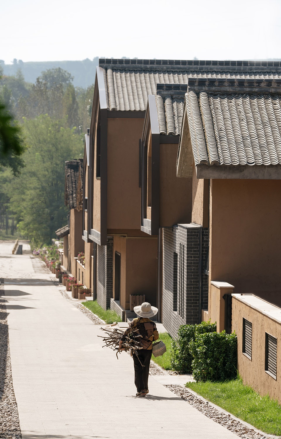 regeneration of tianjiazhuang by tjad normal design