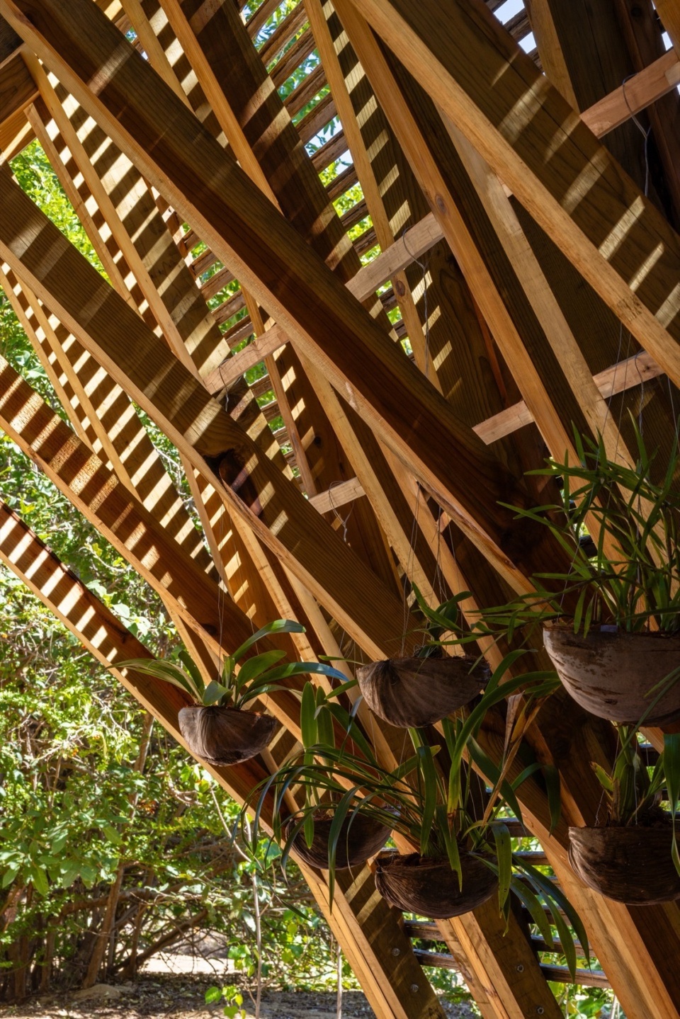 Orchid Pavilion for Casa Wabi by CCA Bernardo Quinzanos